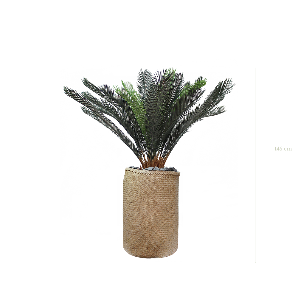 Le Cycas 145 cm - Pot Tressé #Artificiel