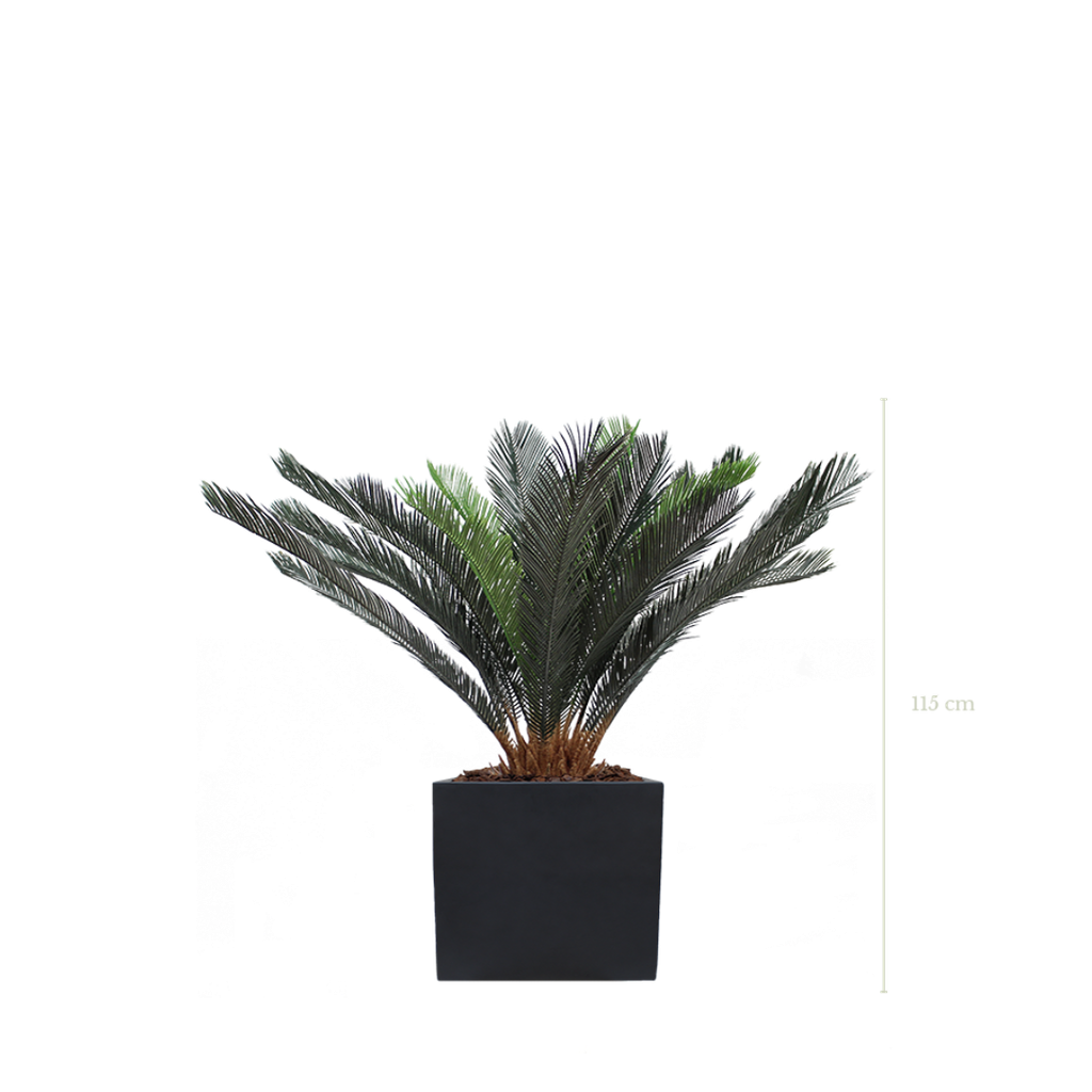 Der Cycas 115 cm - Schwarzer kubischer Topf #Künstlich