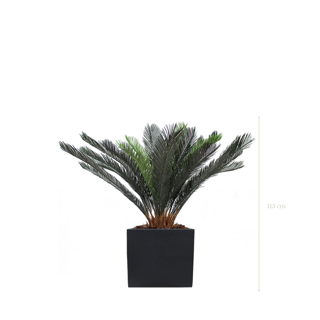 Le Cycas 115 cm - Cube Noir #Artificiel