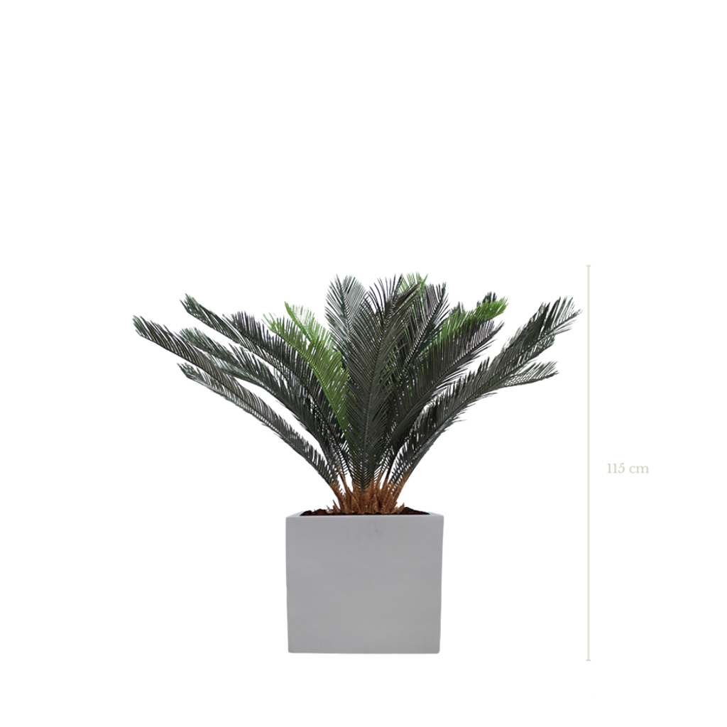 Le Cycas 115 cm - Cube Blanc #Artificiel