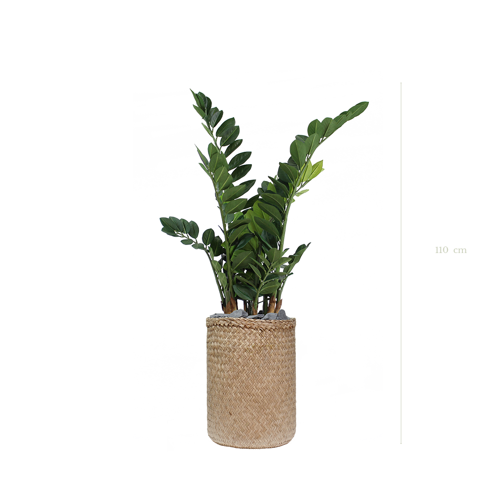 Le Zamia 110 cm - Pot Tressé #Artificiel