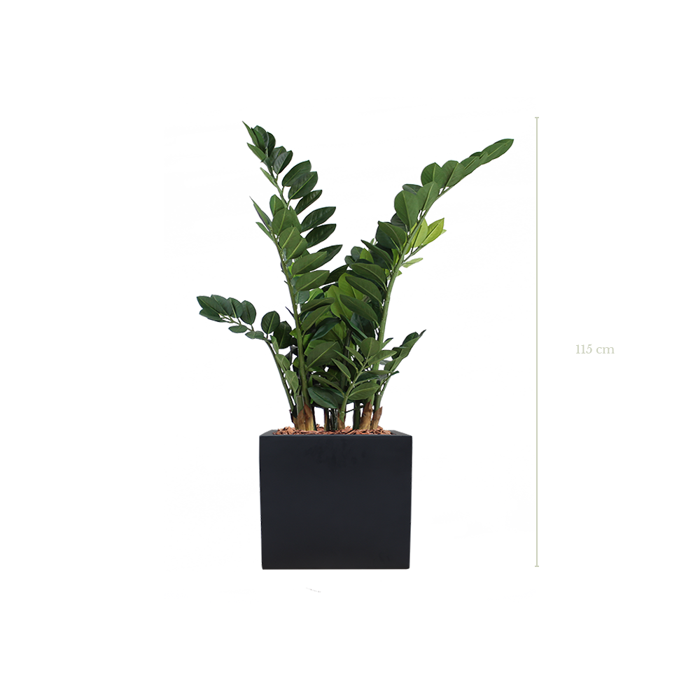 Der Zamia 115 cm – schwarzer kubischer Topf #Künstlich
