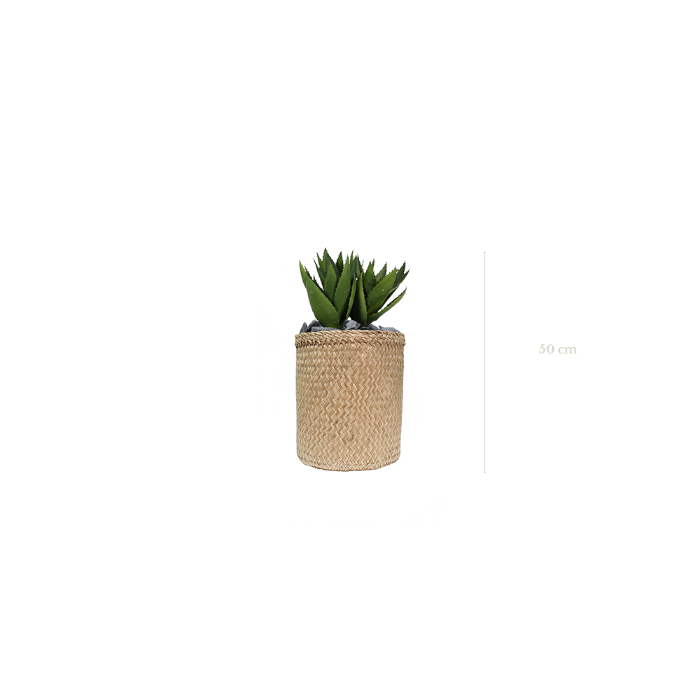 L'Aloé 50 cm - Pot Tressé #Artificiel