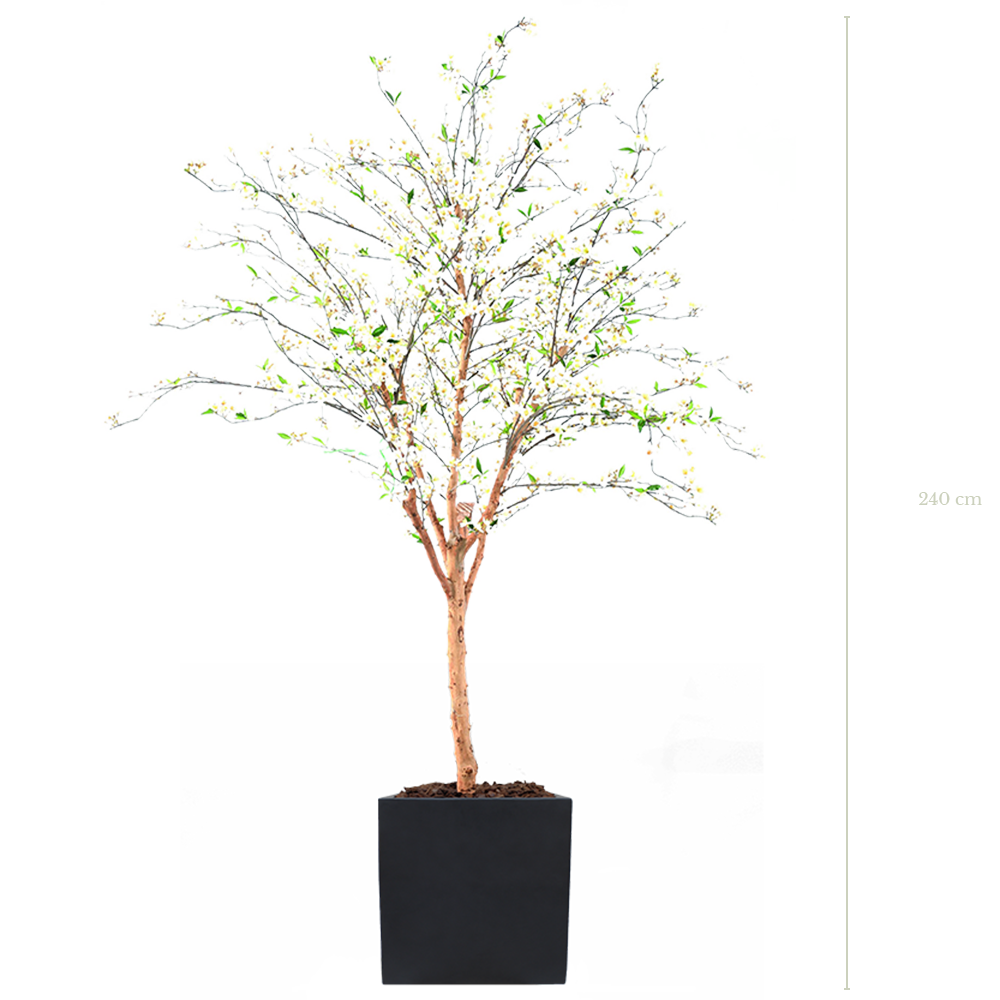 Le Cerisier 240 cm - Cube Noir #Semi-naturel