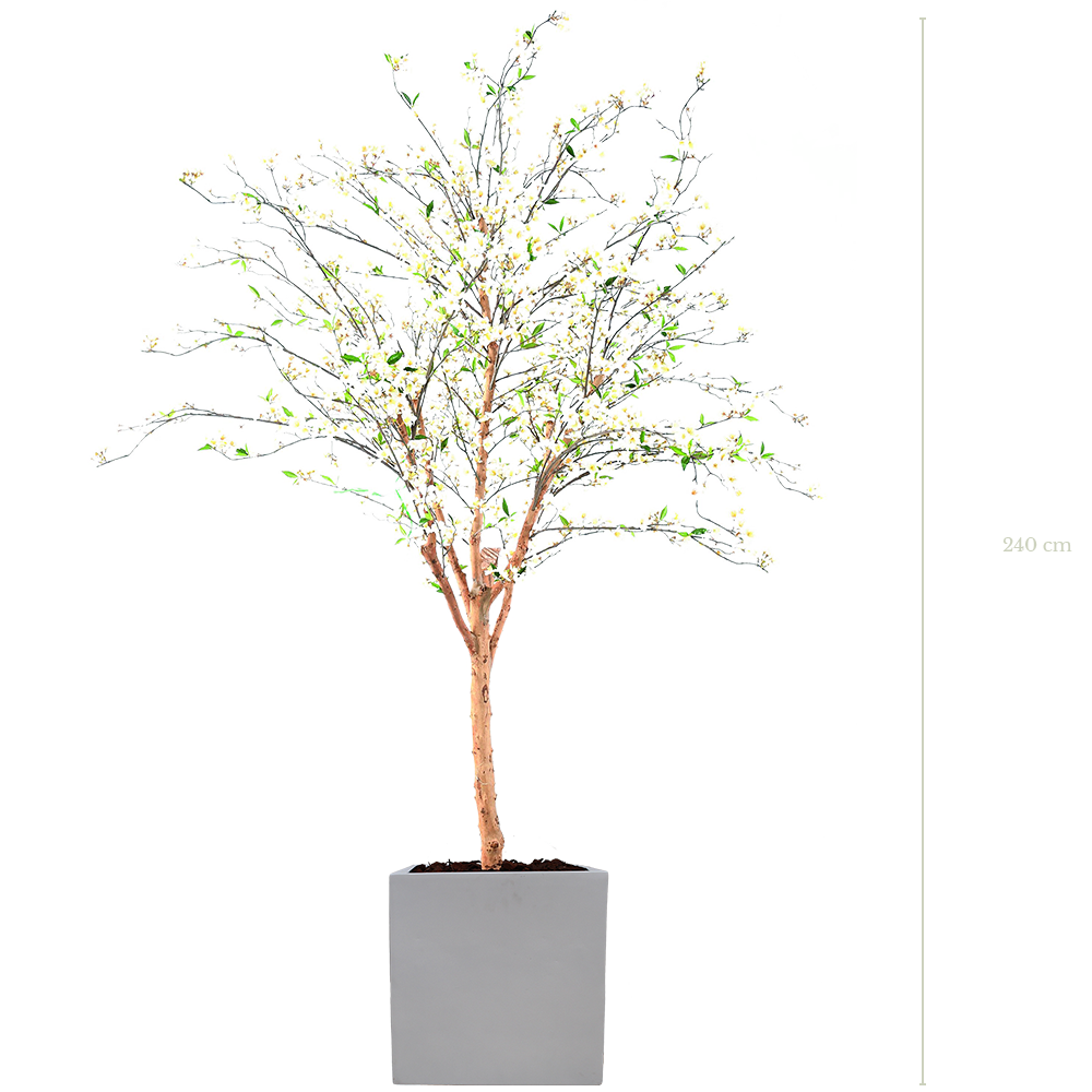 Le Cerisier 240 cm - Cube Blanc #Semi-naturel