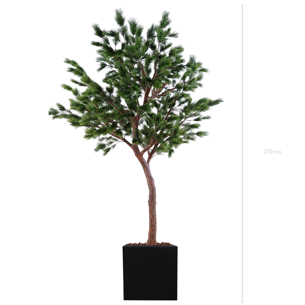 The Tall Pine Tree in a black square pot #Artificial