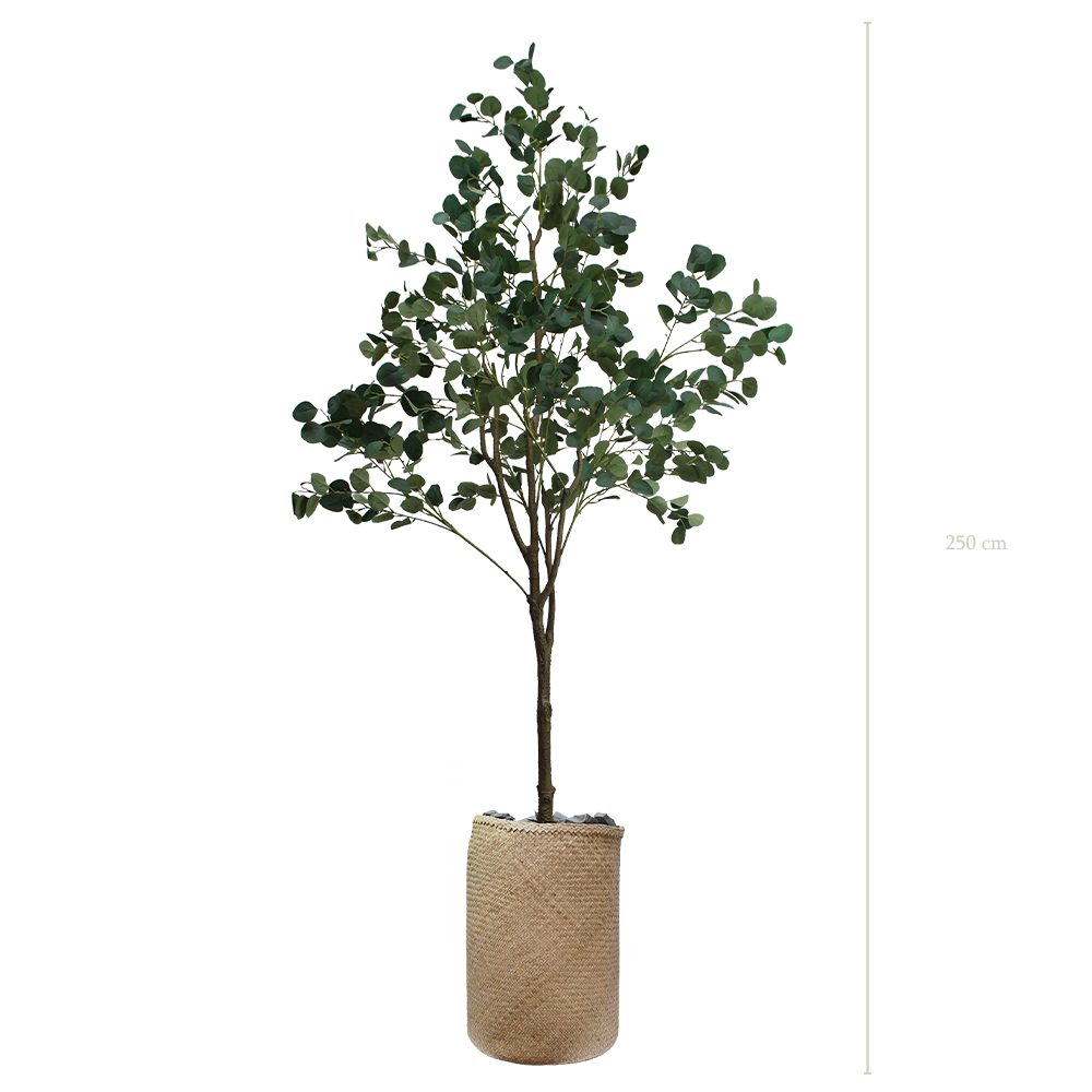 Der Eukalyptusbaum 250 cm – Naturgeflecht-Topf #künstlich