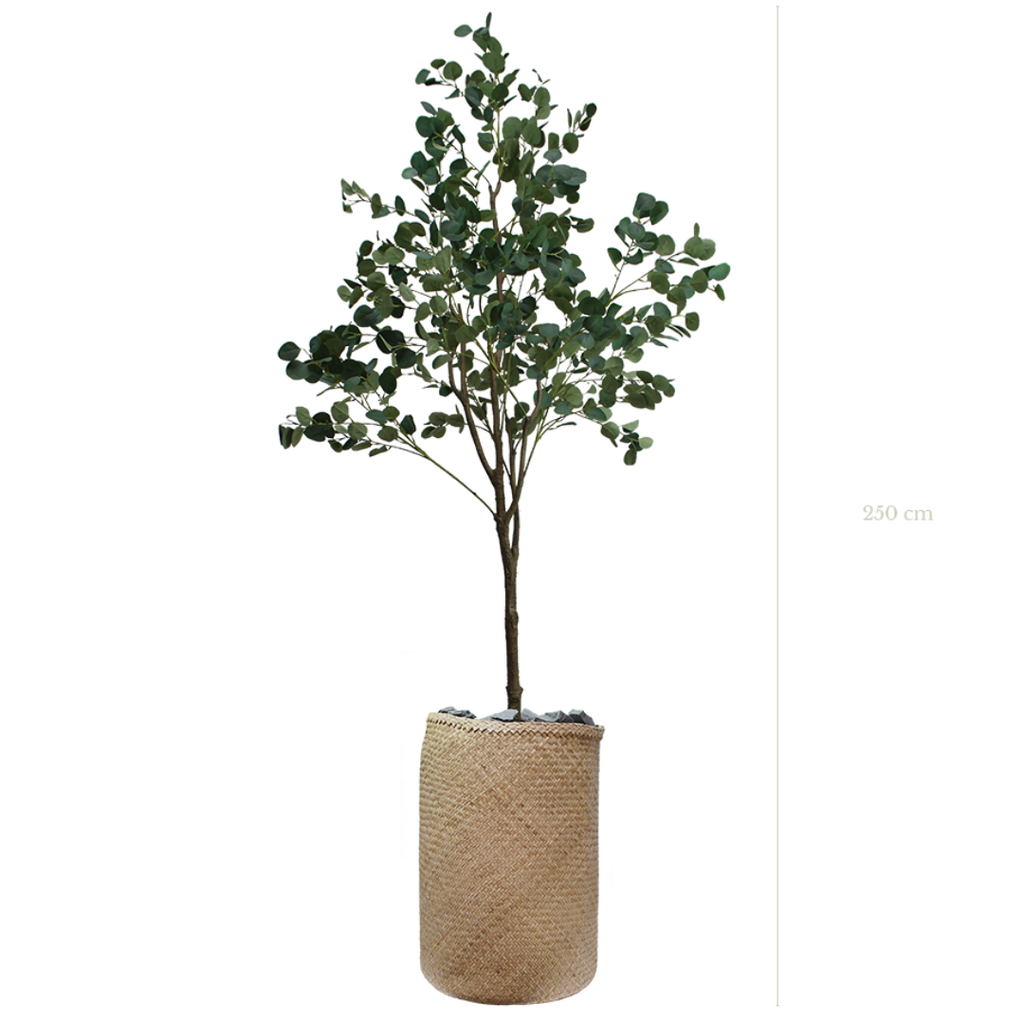 L'Arbre Eucalyptus 250 cm - Pot Tressé #Artificiel