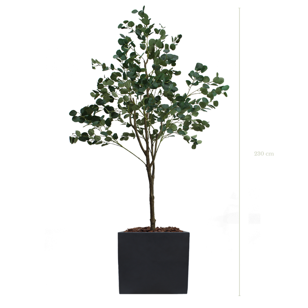 L'Arbre Eucalyptus 230 cm - Cube Noir #Artificiel