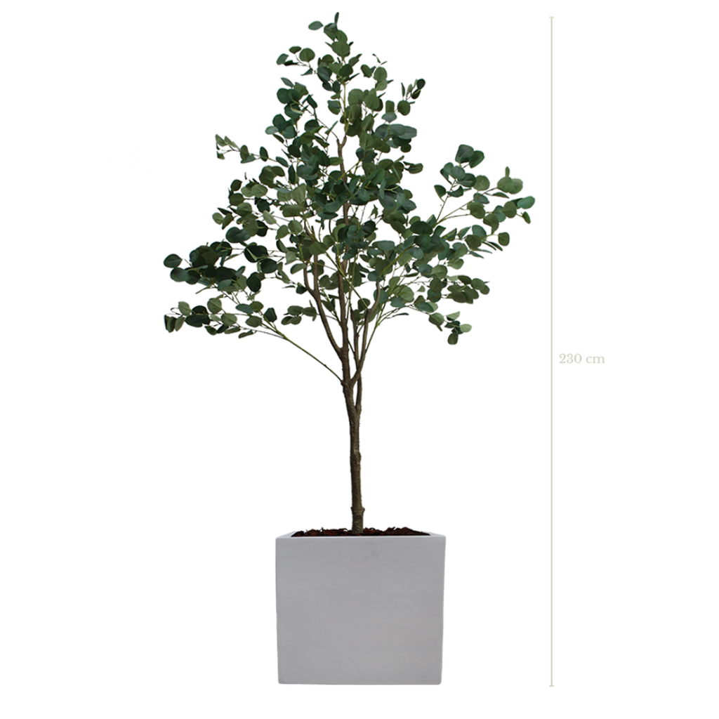 L'Arbre Eucalyptus 230 cm - Cube Blanc #Artificiel