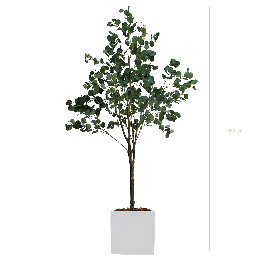 L'Arbre Eucalyptus 230 cm - Cube Blanc - Artificiel