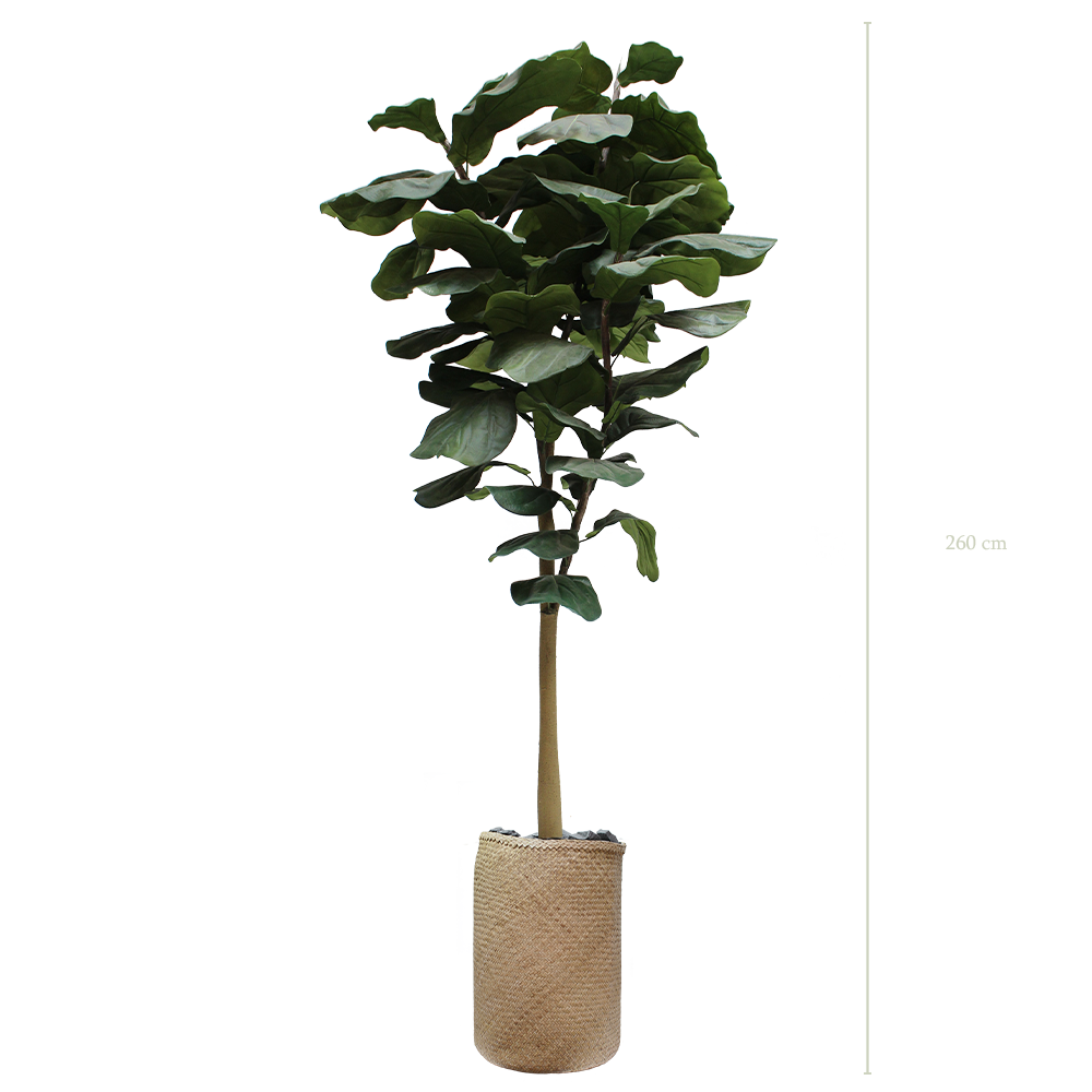 L'Arbre Lyrata 255 cm - Pot Tressé #Artificiel