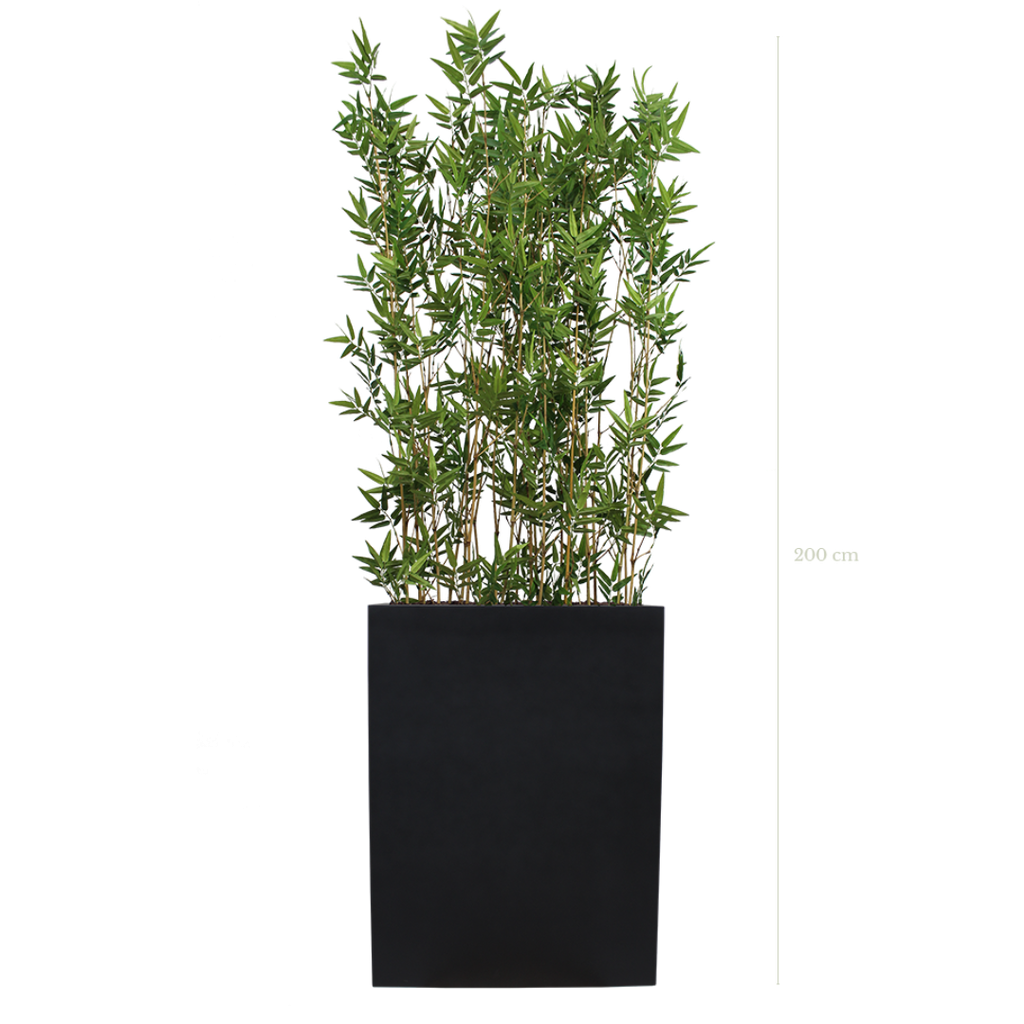 Séparateur M. Bambous 200 cm - Bac Noir #Semi-naturel
