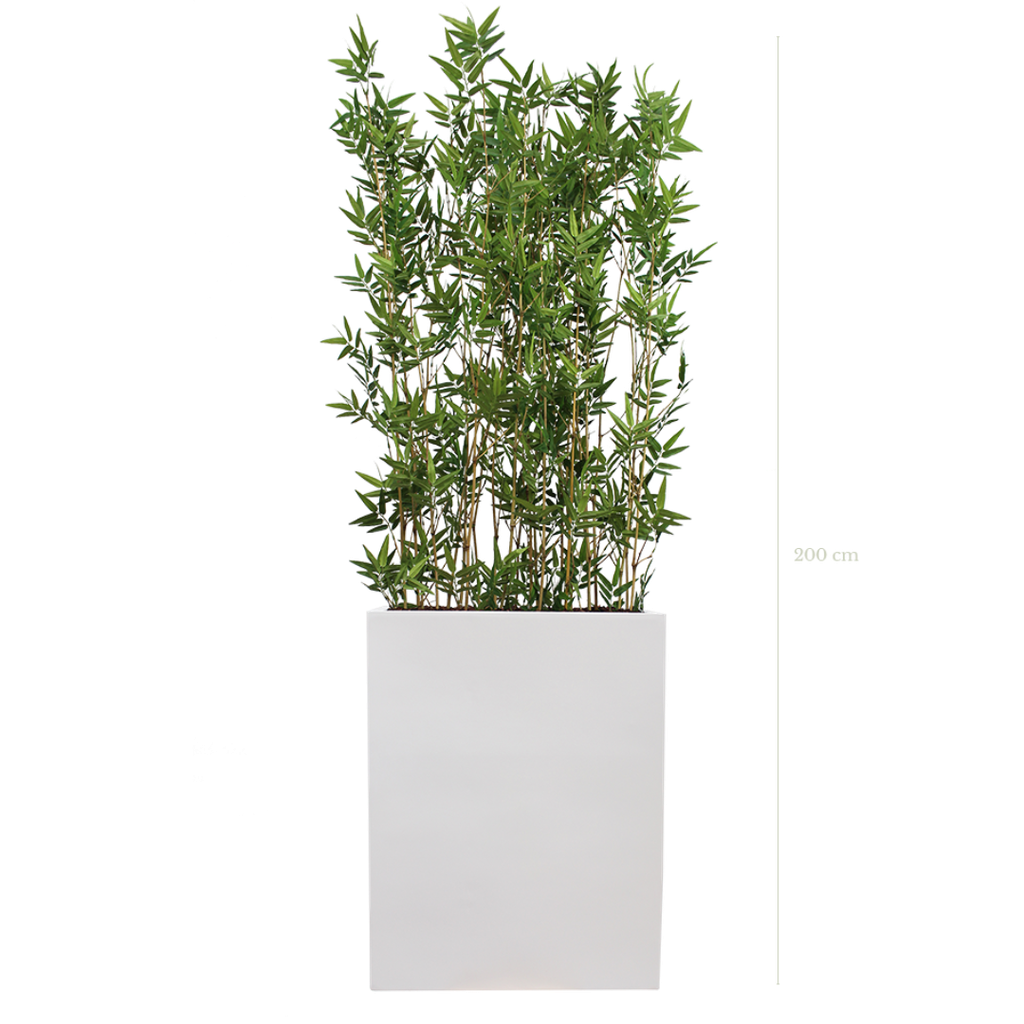 Séparateur M. Bambous 200 cm - Bac Blanc #Semi-naturel