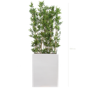 Séparateur M. Bambous 200 cm - Bac Blanc #Semi-naturel