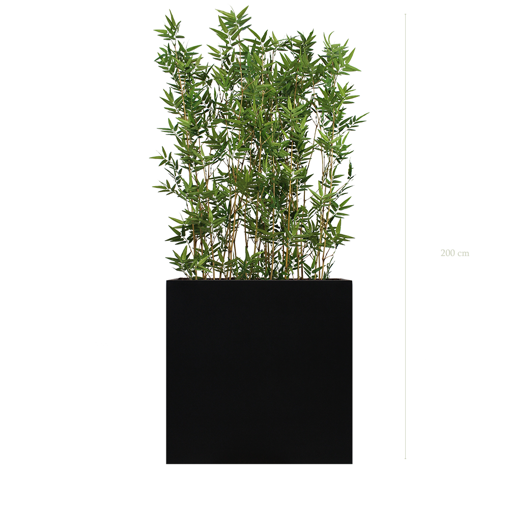Séparateur L. Bambous 200 cm - Bac Noir #Semi-naturel