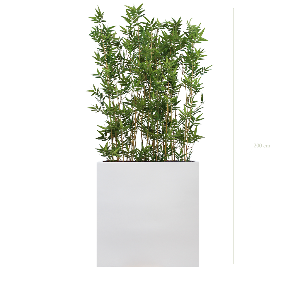 Raumteiler L. Bambus 200 cm - Weißer Pflanzkübel #Halbnatürlich