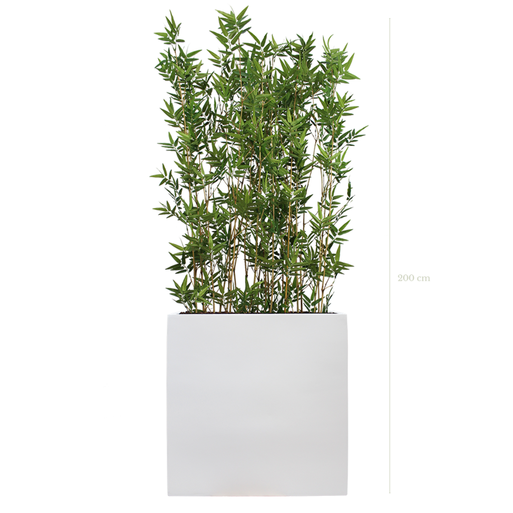 Séparateur L. Bambous 200 cm - Bac Blanc #Semi-naturel