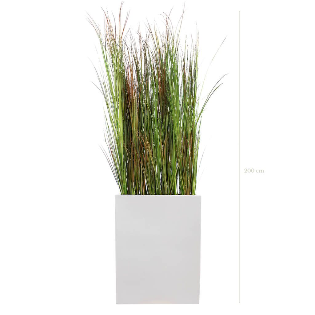 The Scandinavian Grasses M. white Divider #Artificial
