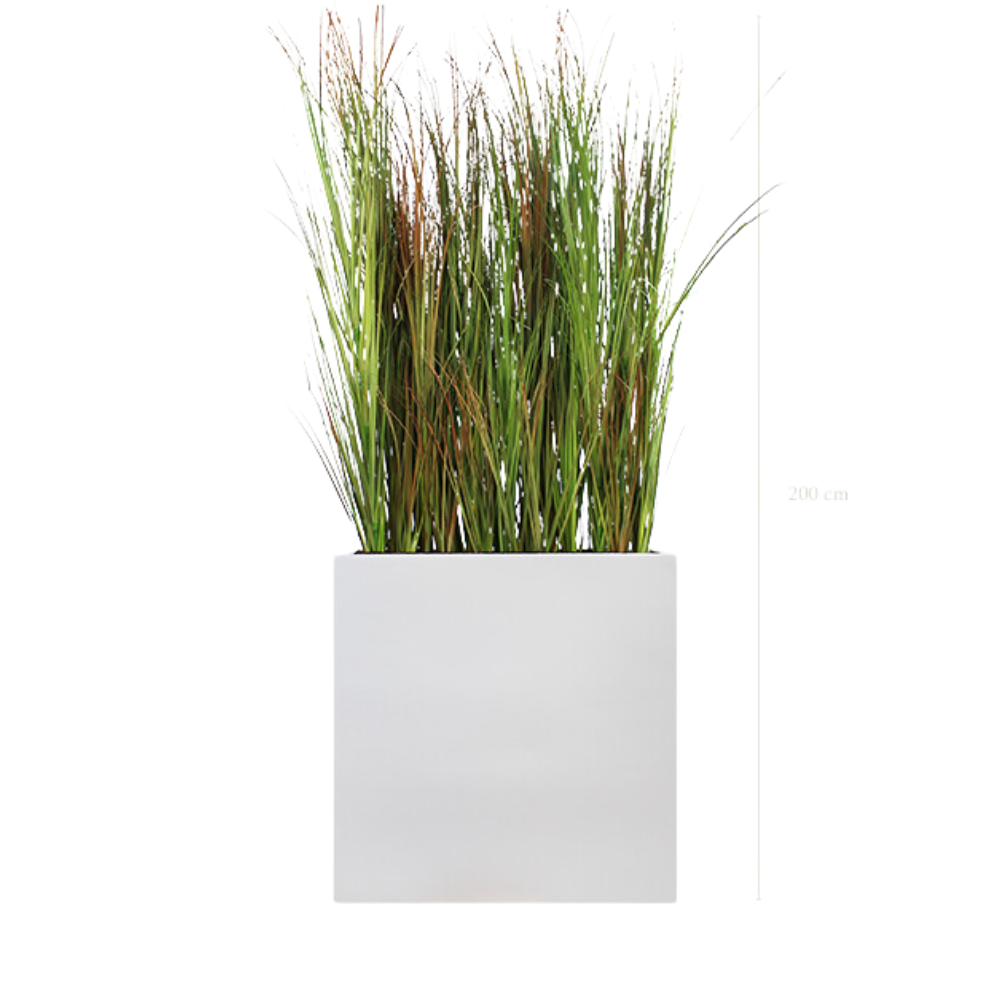 Séparateur L. Graminées Scandinave 200 cm - Bac Blanc - Artificiel