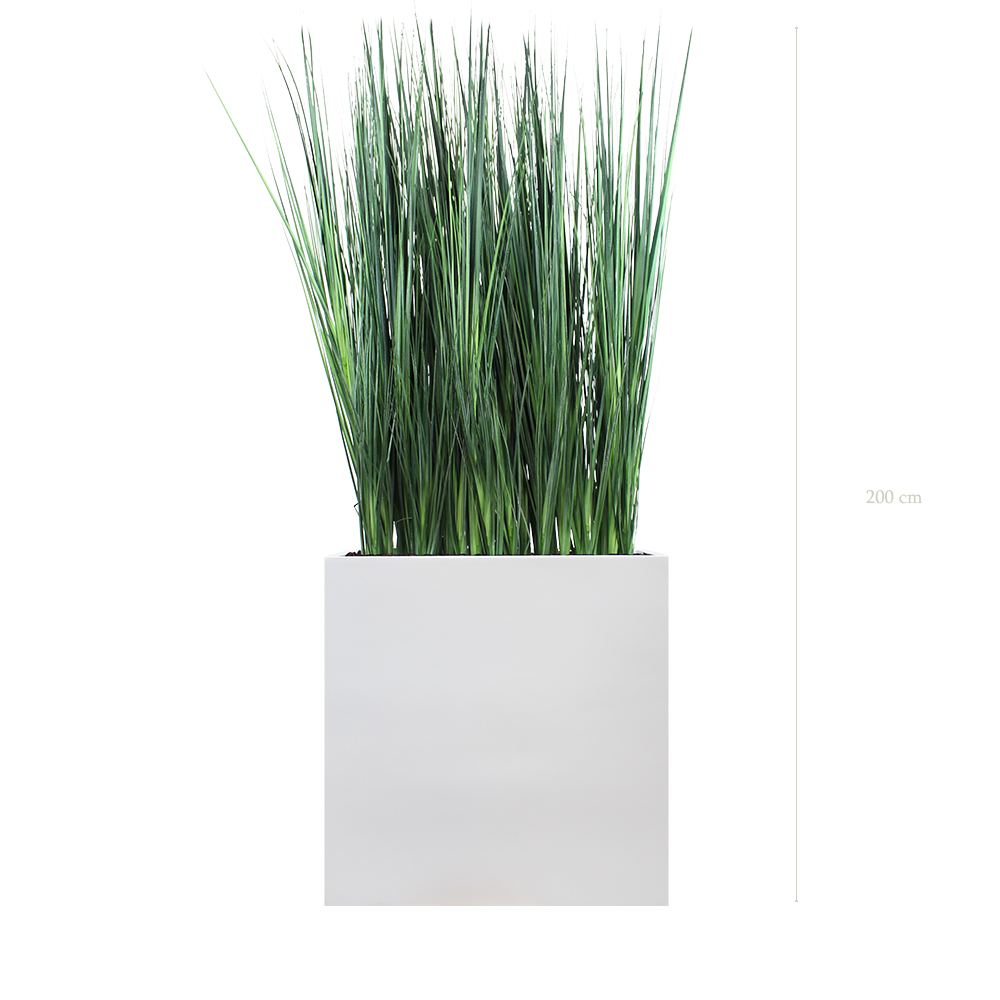 Séparateur L. Graminées Zen 200 cm - Bac Blanc #Artificiel