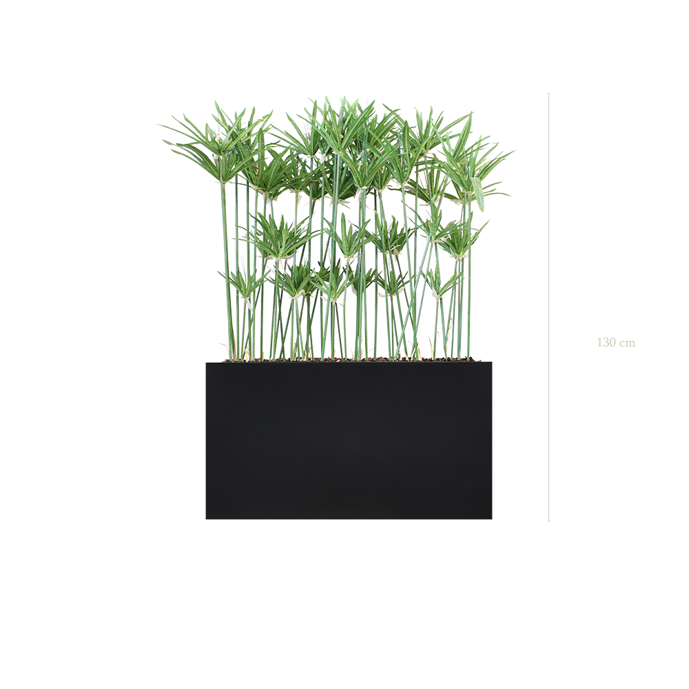 Les papyrus 130 cm - Bac Noir #Artificiel