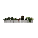 Lot de 9 pots végétalisés - Pots Blancs #Artificiel