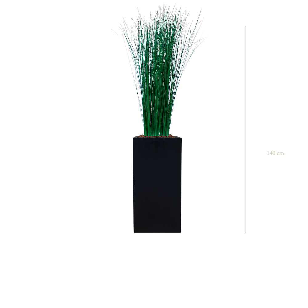 The Small Grass - Tall Black Cube #Stabilized