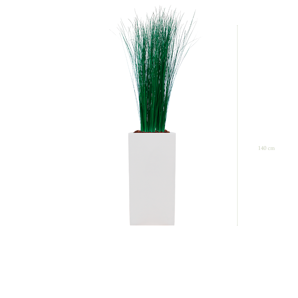 The Small Grass - Tall White Cube #Stabilized