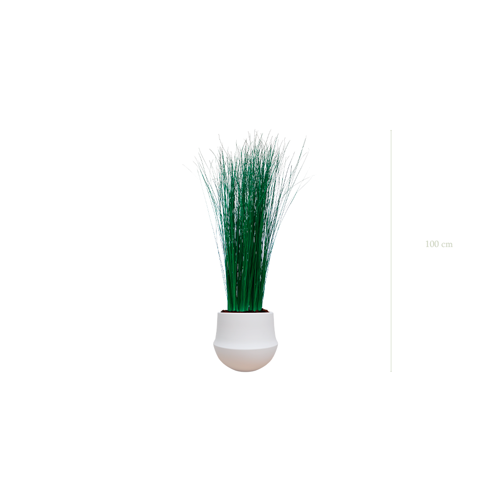 The Small Grass - White Round Pot #Stabilized