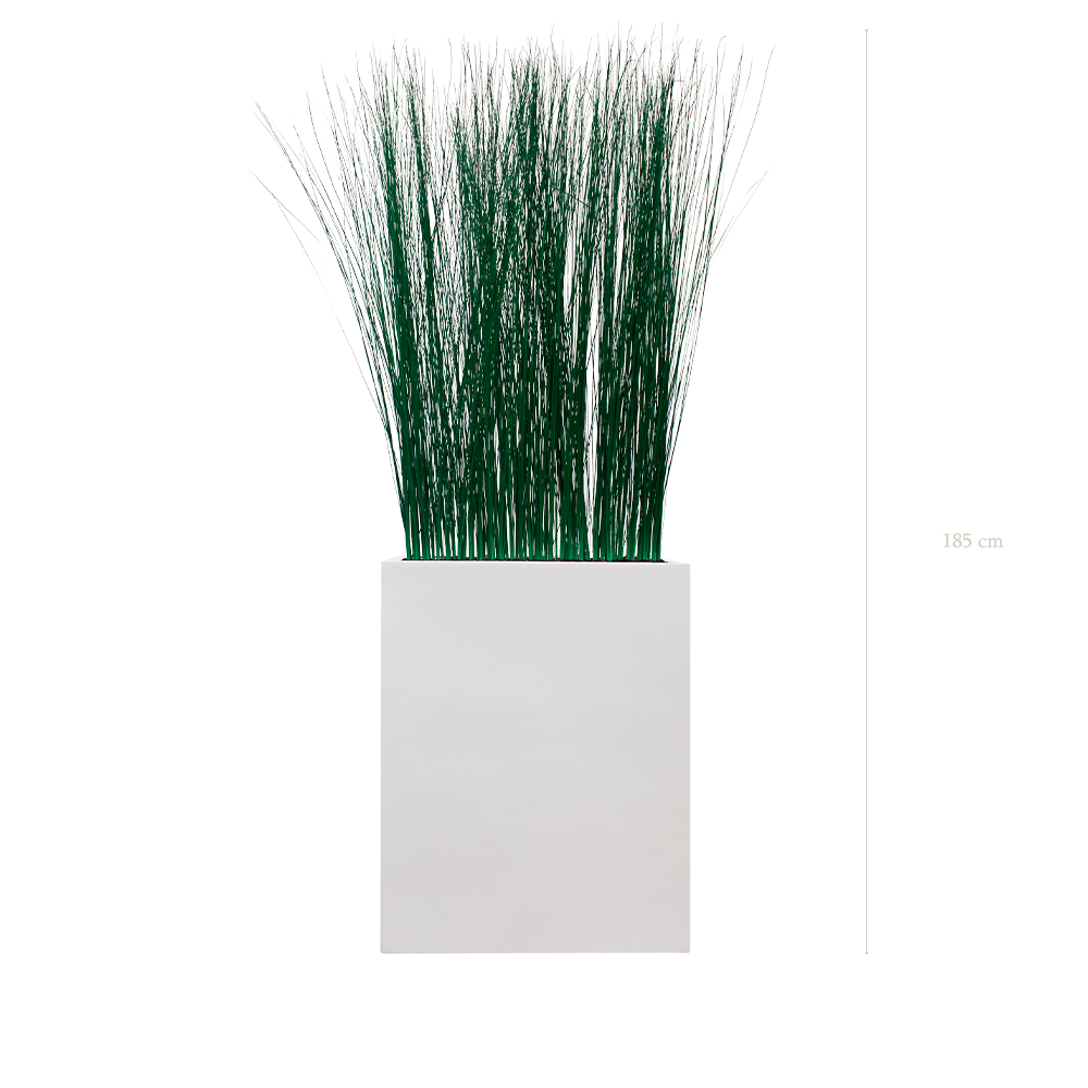 Grass M. White Divider #Stabilized