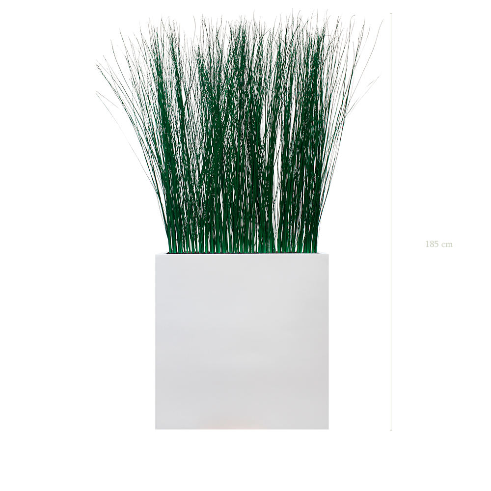 The Grass L. White Divider #Stabilized