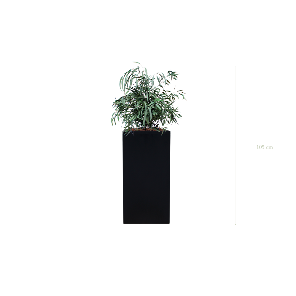 Le Petit Nicoly - Cube Haut Noir #Stabilisé