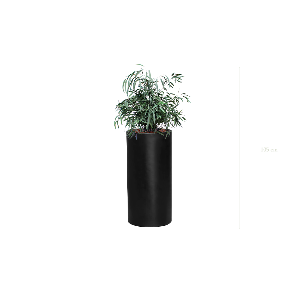 The Small Nicoly - Tall Black Cylinder #Stabilized