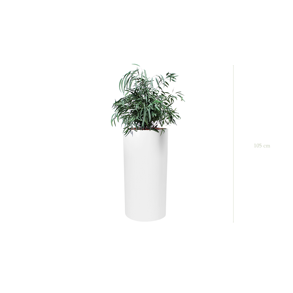 Le Petit Nicoly - Cylindre Haut Blanc #Stabilisé