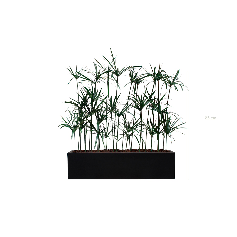 Jardinière Papyrus - Bac Noir #Stabilisé
