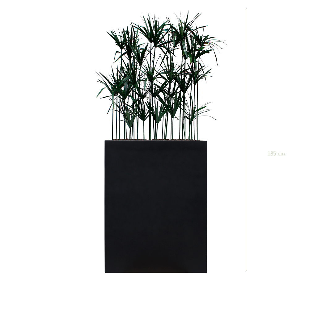 Séparateur M. Papyrus - Bac Noir #Stabilisé