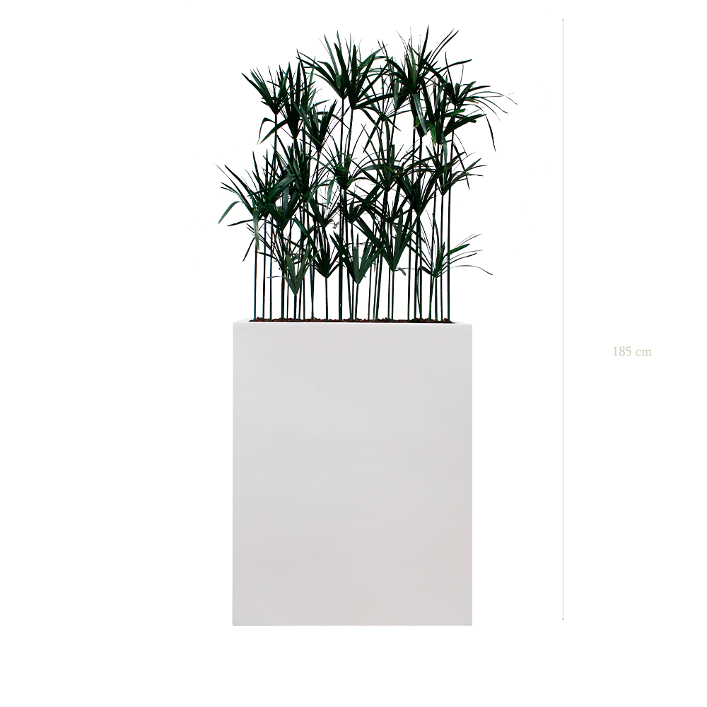 Papyrus M. White Divider #Stabilized