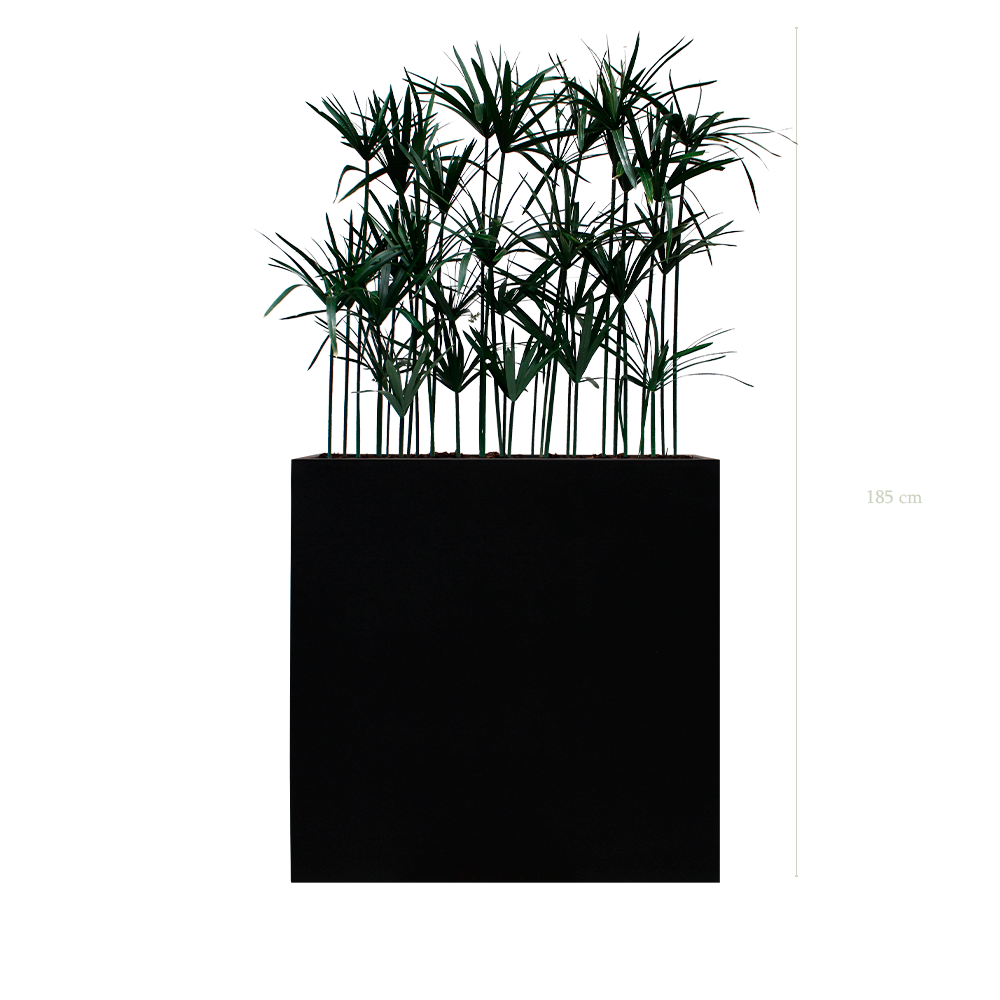 The Papyrus L. Black Divider #Stabilized