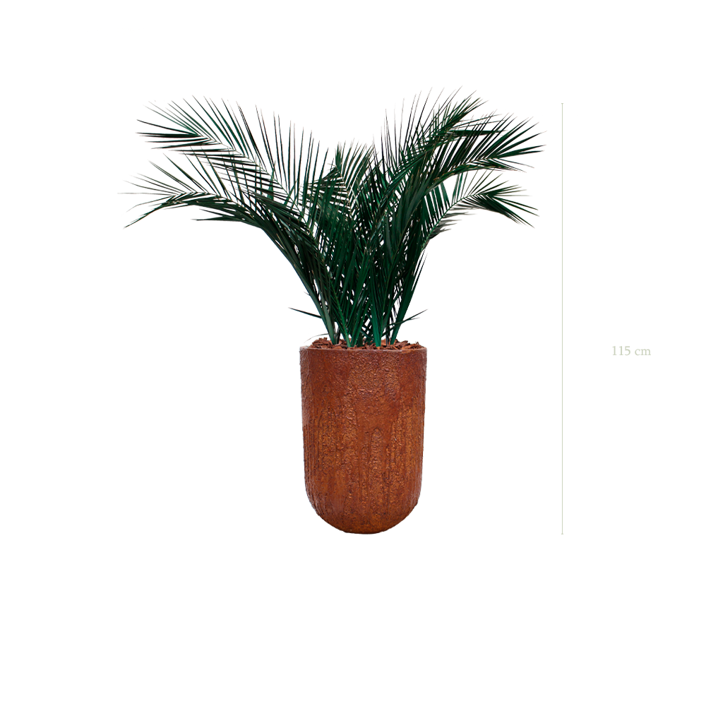 Le Palm - Pot Marron #Stabilisé