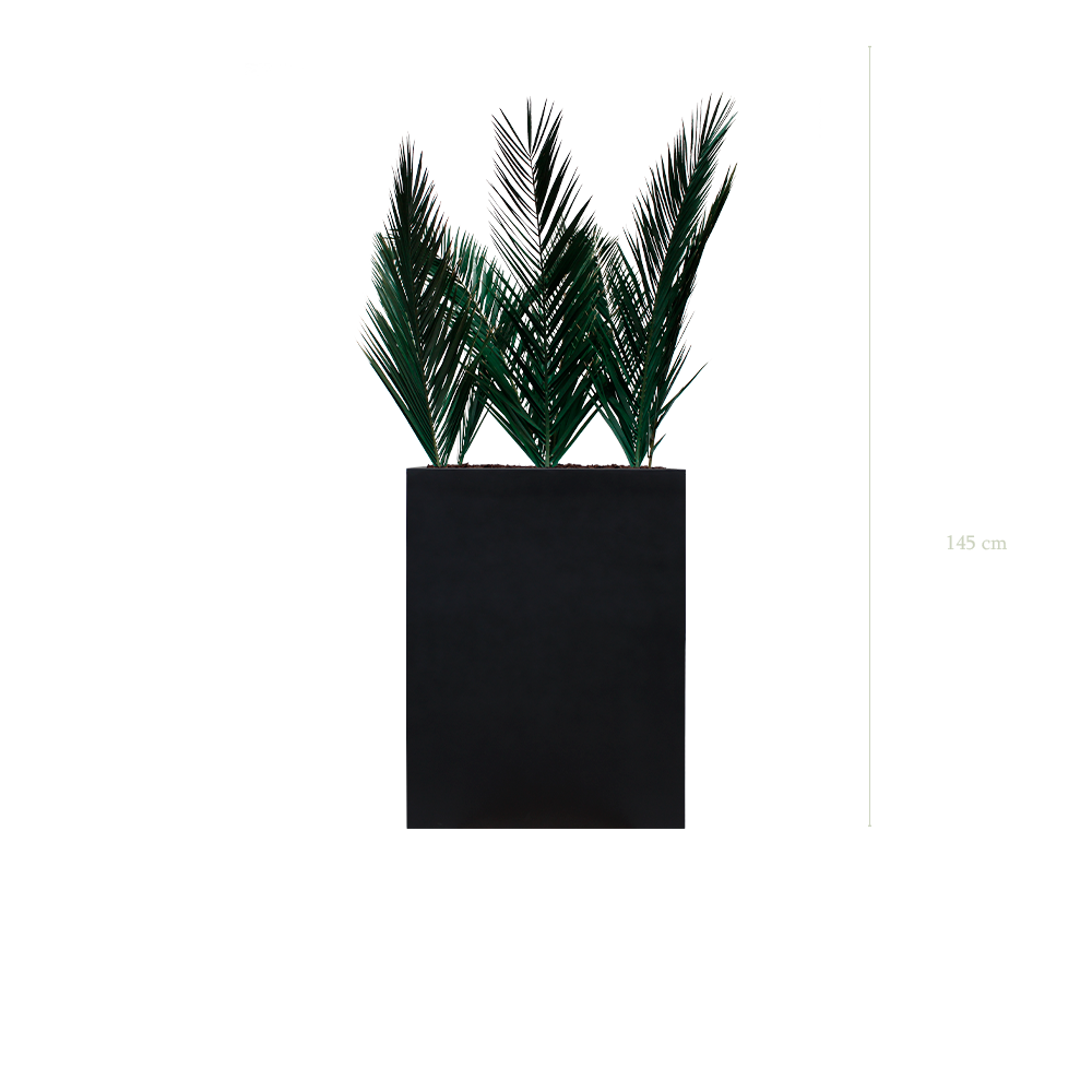 Raumteiler M. Palm - Schwarzer Pflanzkübel #Stabilisiert