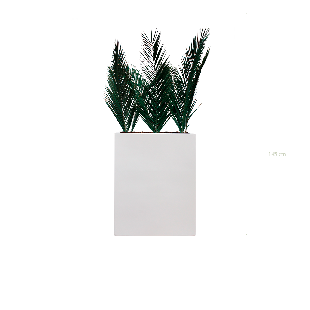 Raumteiler M. Palm – Weißer Pflanzkübel #Stabilisiert