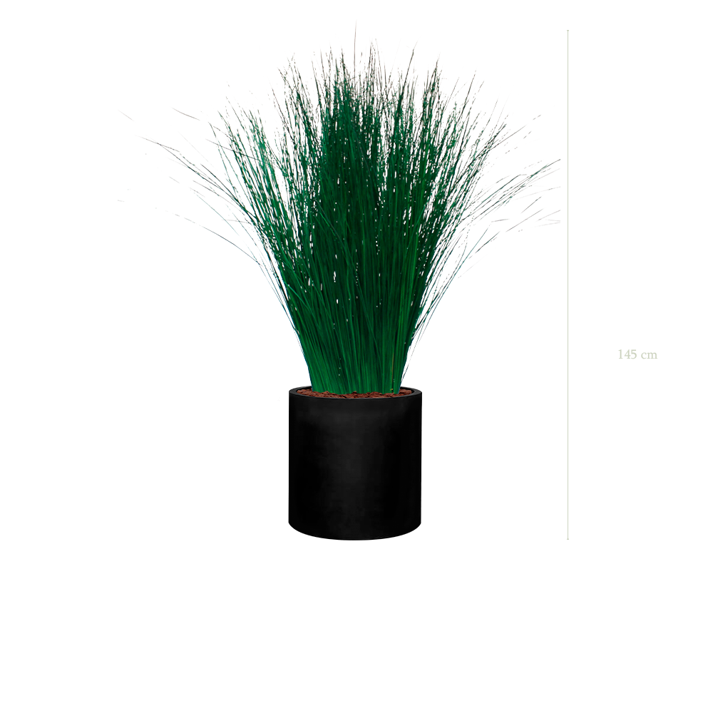 The Tall Grass - Black Cylinder #Stabilized