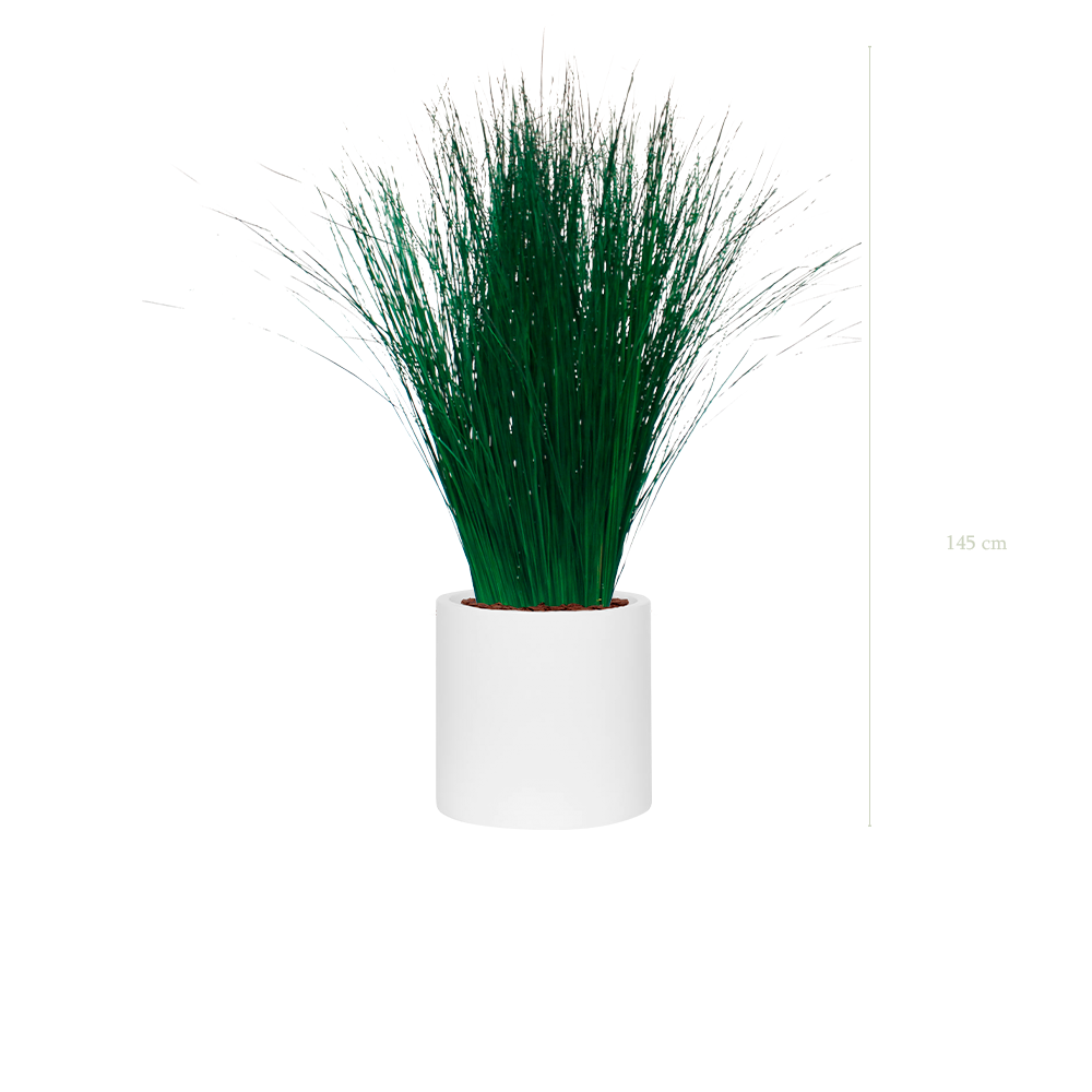 The Tall Grass - White Cylinder #Stabilized