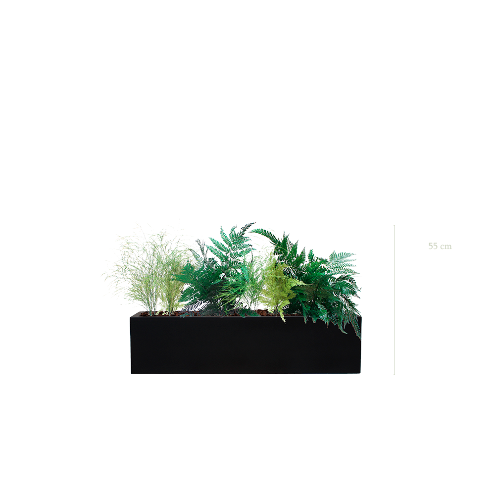 Fern Planter - Black Planter #Stabilized