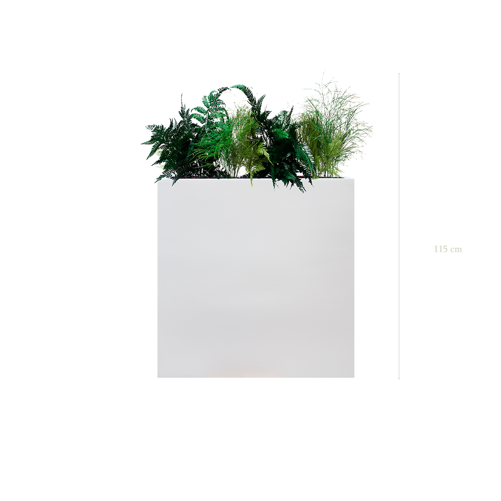 The Fern L. White Divider #Stabilized