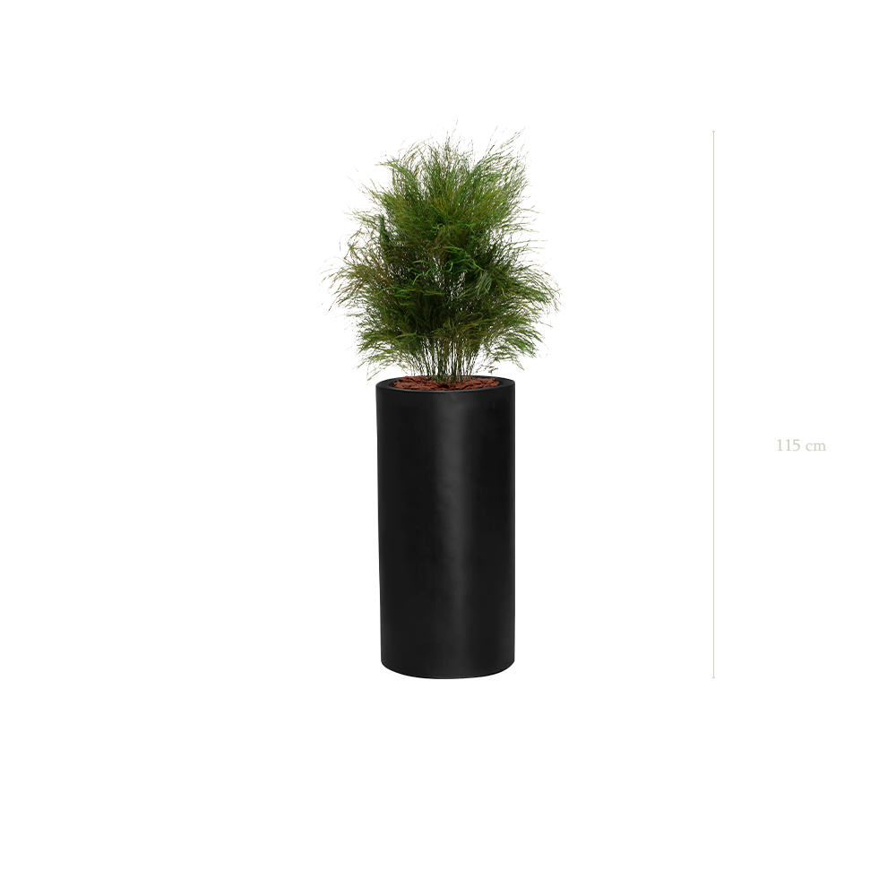 The Wild Grass - Tall Black Cylinder #Stabilized