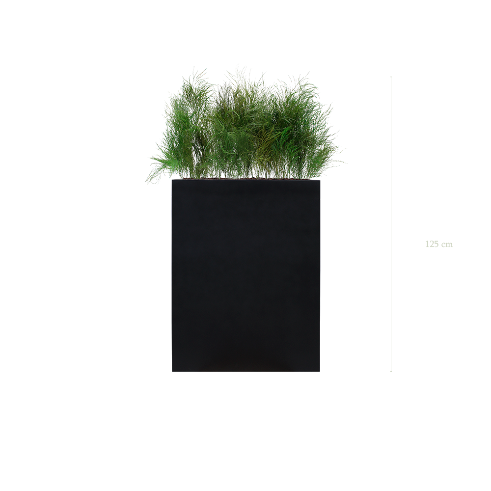 Séparateur M. Herbe Folle - Bac Noir #Stabilisé