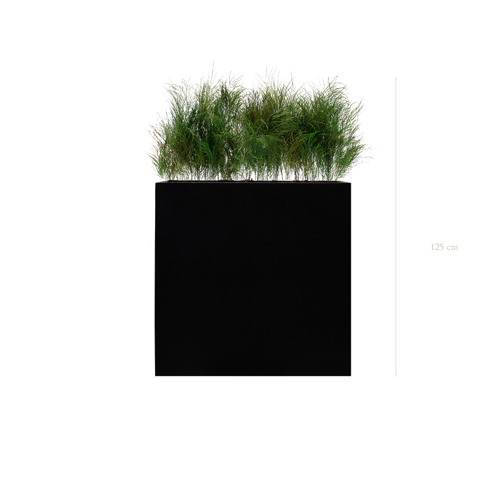 The Wild Grass L. Black Divider #Stabilized