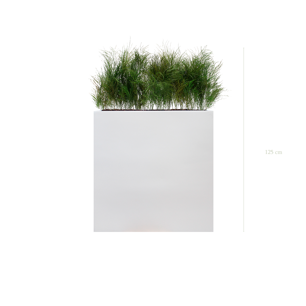 The Wild Grass L. White Divider #Stabilized